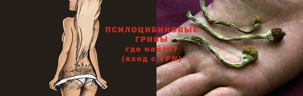 MDMA Вяземский